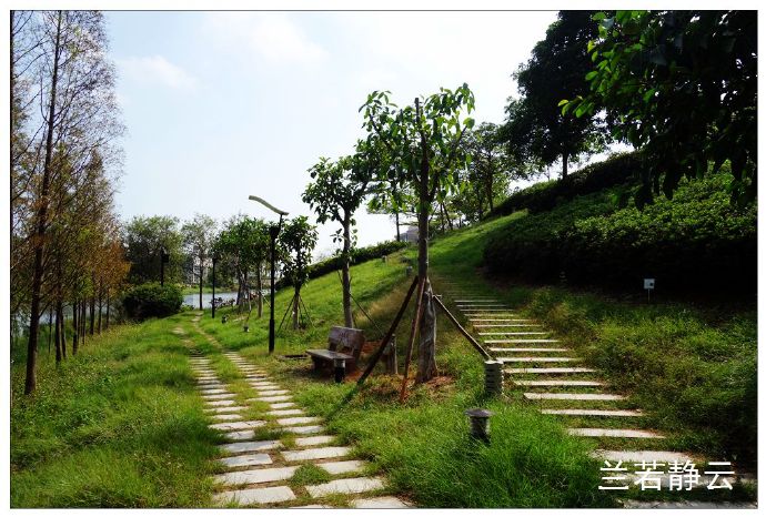 厦门国家会计学院校园,厦门国家会计学院漂亮吗