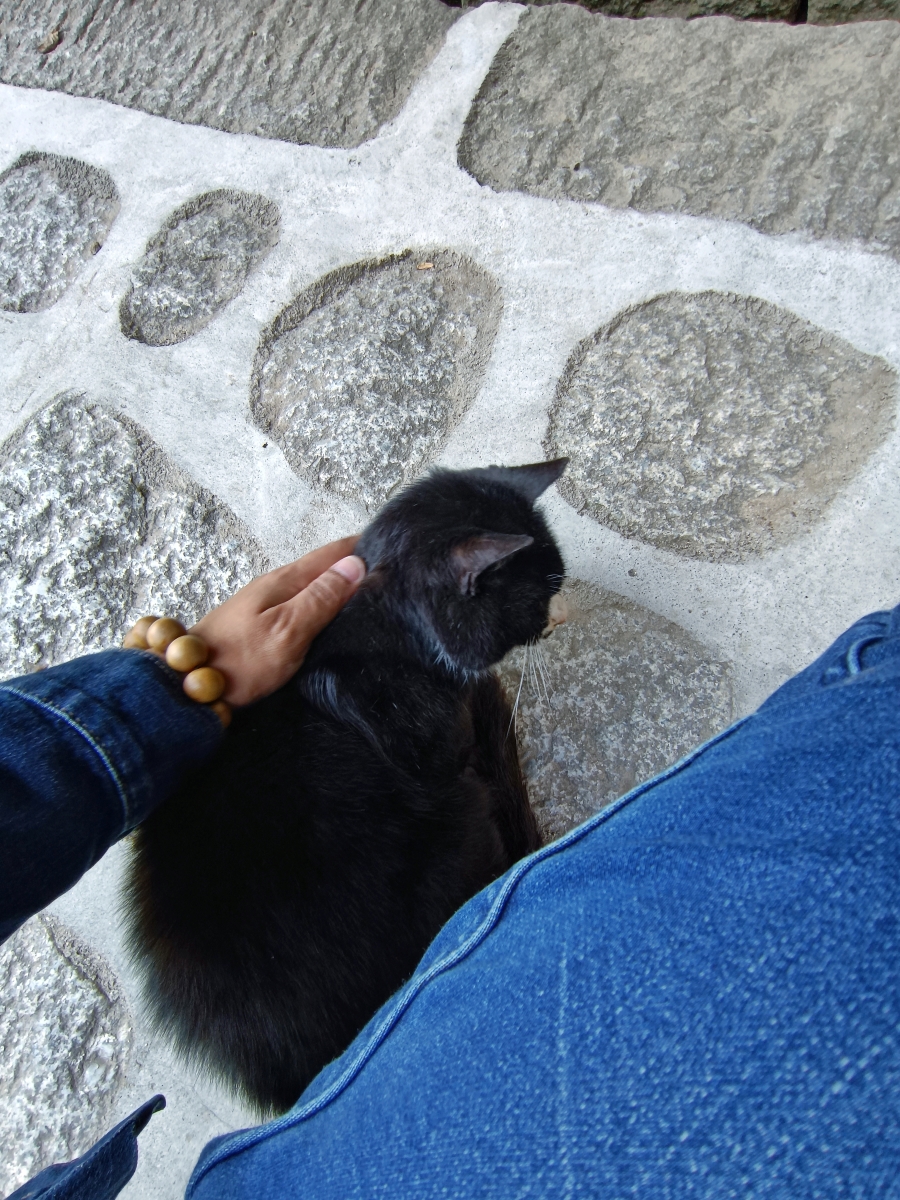 华山二日游登山攻略路线图,陕西自由行夜爬华山