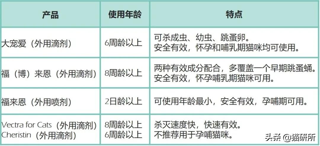 消灭跳蚤用什么药,消灭99.99%的跳蚤