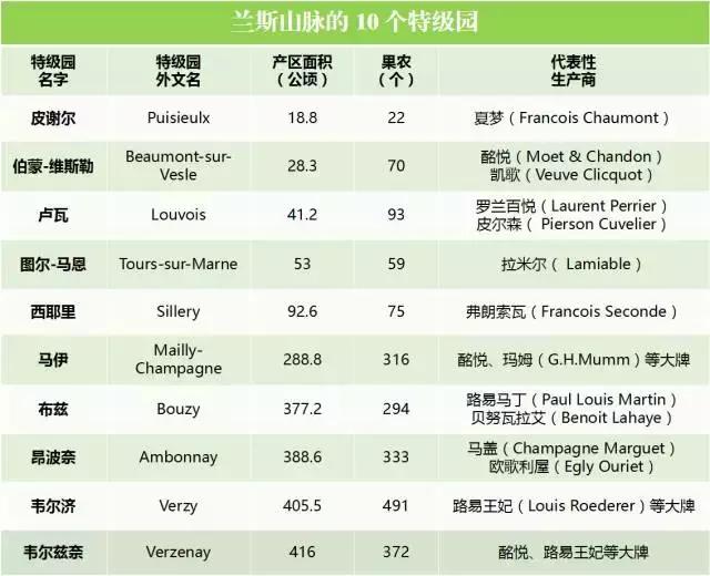 香槟分年份吗,香槟的基本常识及图片