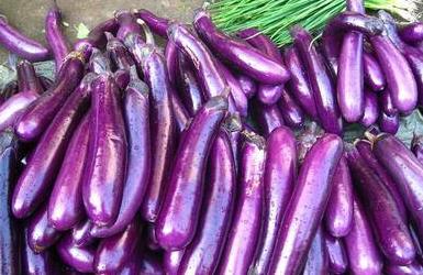 茄子的挑选方法和技巧 (茄子选大的还是小的好)