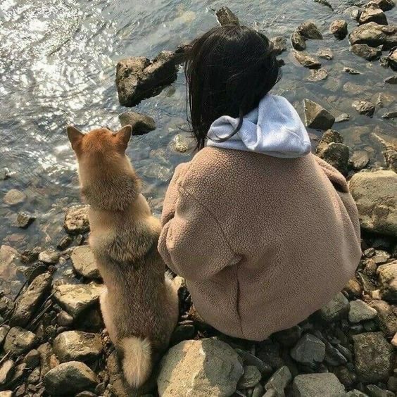 最强招桃花方法,全网公认招桃花好物