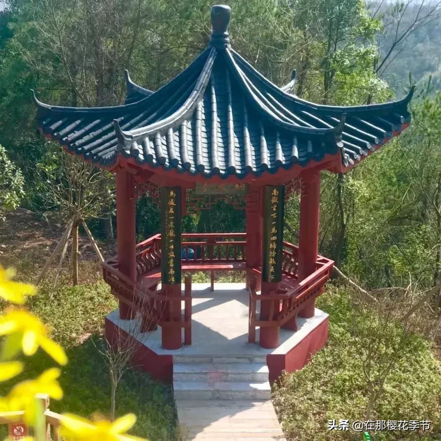 马祖岩人文公园大概多少公里,马祖岩人文公园夜光路