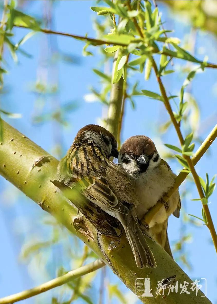 焦作2023年免费开放的景点,焦作人都去哪里玩了