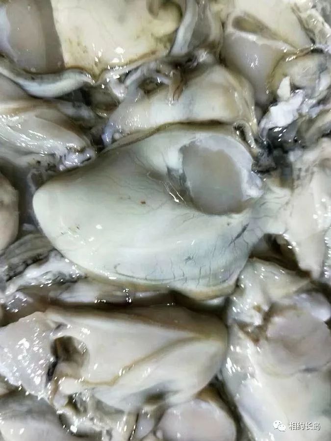 闀垮矝缃戠孩娴烽矞,闀垮矝娴烽矞澶ч鍥剧墖