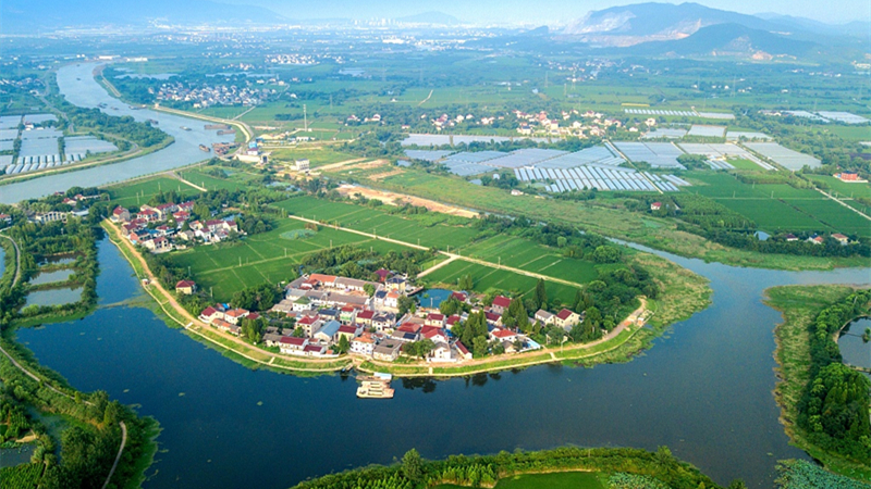 致富金蛋视频,咸鸭蛋变身致富金蛋