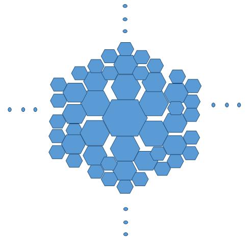 西兰花分几种,西兰花比例