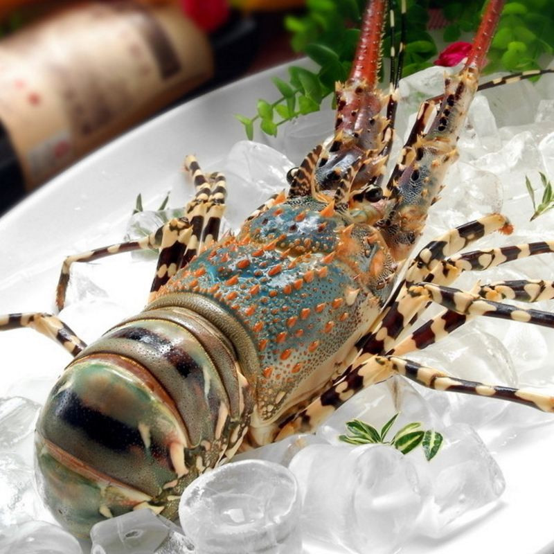 厦门青龙虾海鲜价格,厦门好吃的龙虾排行榜