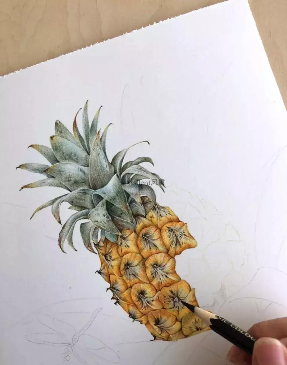 惊艳的彩铅画兔子,惊艳唯美的彩铅画