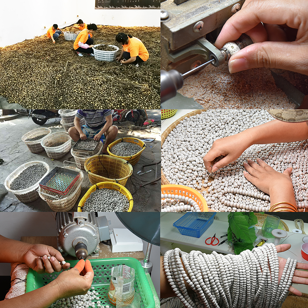 星月菩提为什么有便宜有贵,星月菩提为什么有那么便宜的