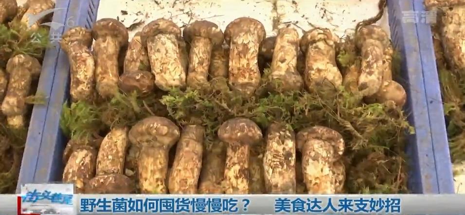 野生菌怎么吃比较好,云南野生菌怎么携带不会坏