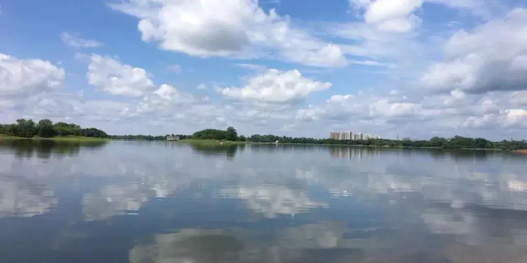 河道手竿钓鲤鱼,仁寿黑龙滩可以钓鱼吗