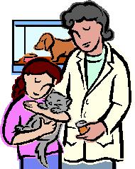 ps图像分辨率及大小设计与美化,ps800x800像素分辨率是多少