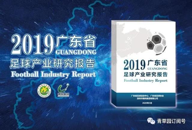 广东省足球产业报告,足球产业最新消息