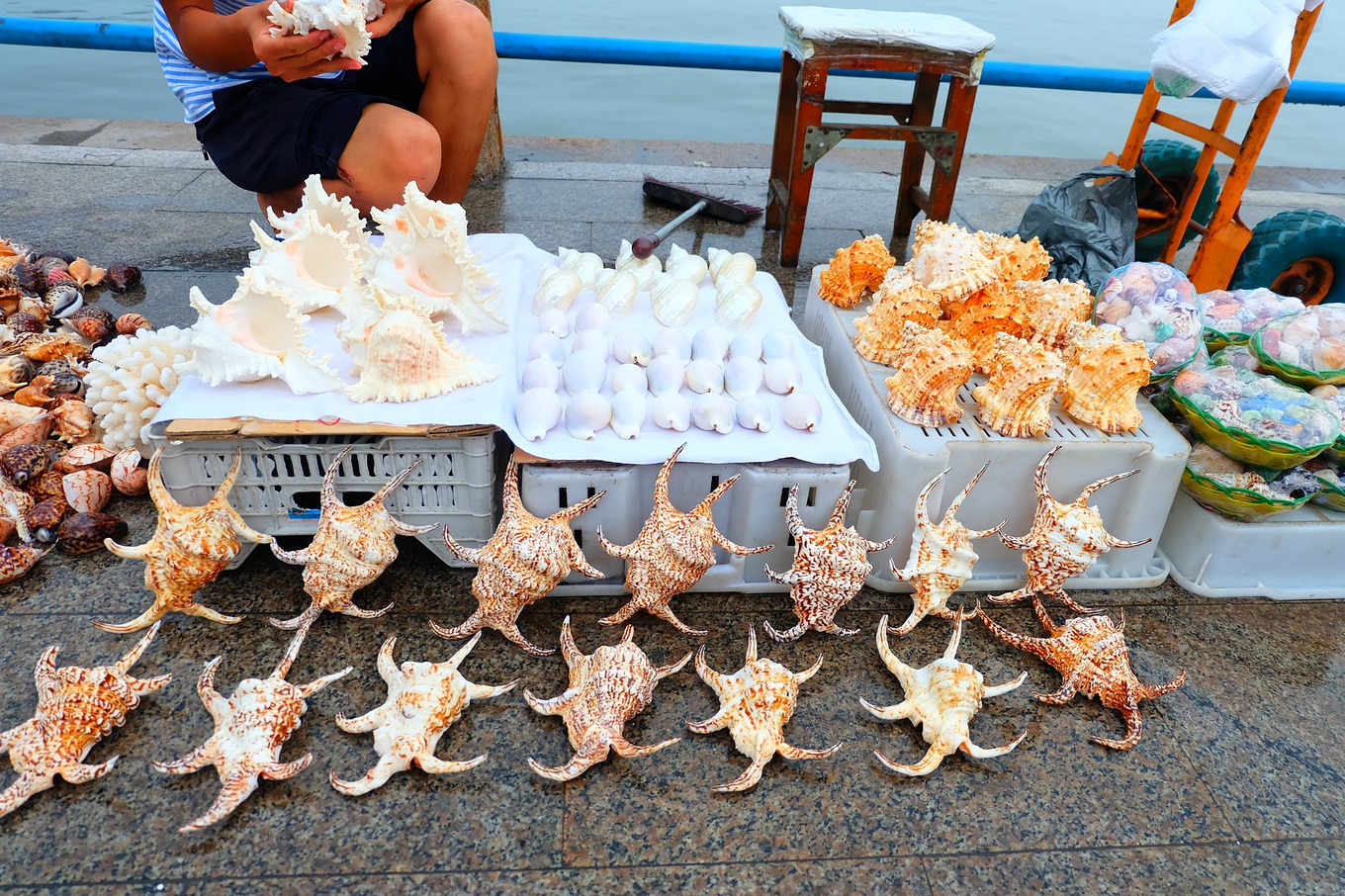 骆驼青岛,骆驼旅行在路上
