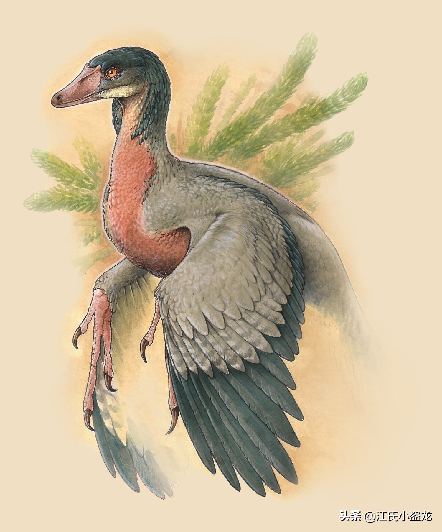 古生物时代有多少种恐龙,人类已经发现了多少恐龙种类