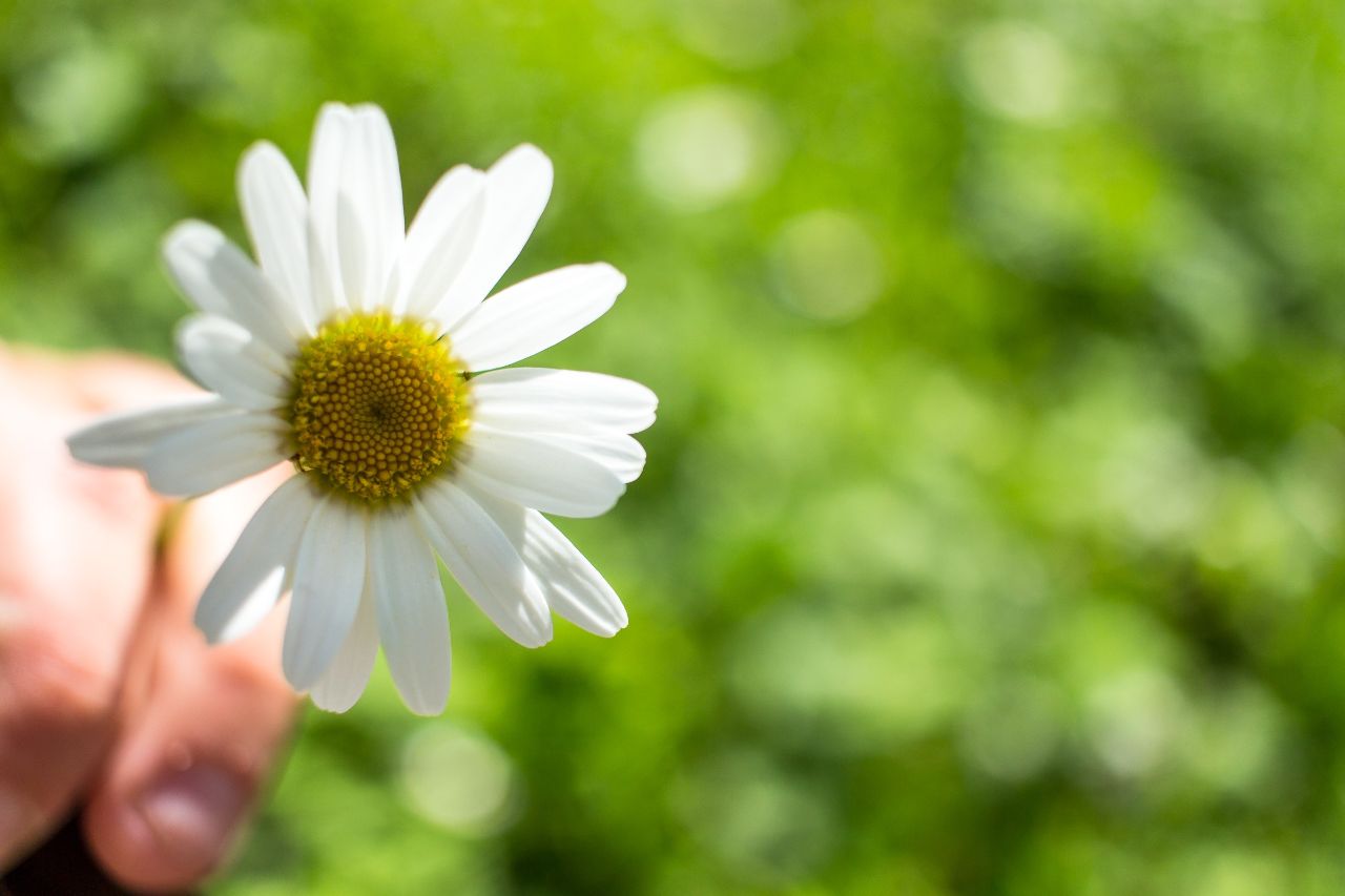 哪几个星座骂人都很魅力,说气话最噎人的四个星座
