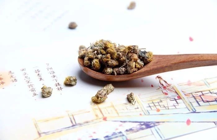 野菊花种植方法及注意事项,野菊花的功用与用途有什么