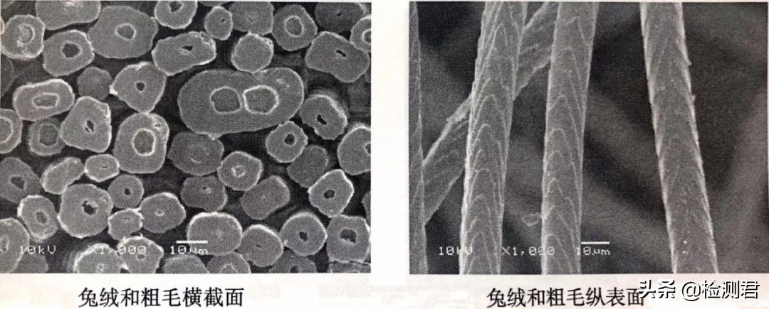 动物毛怎么收藏,各种动物毛纤维