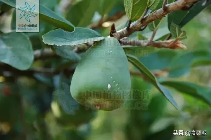 高温天气该如何凉快,高温天气该如何凉快一点