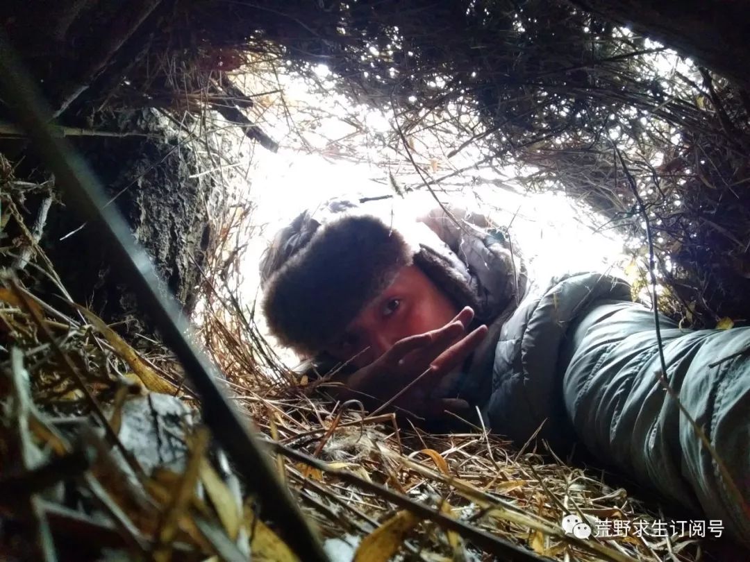 野外生存中木炭的作用和功效,木炭的用途及其对应的性质