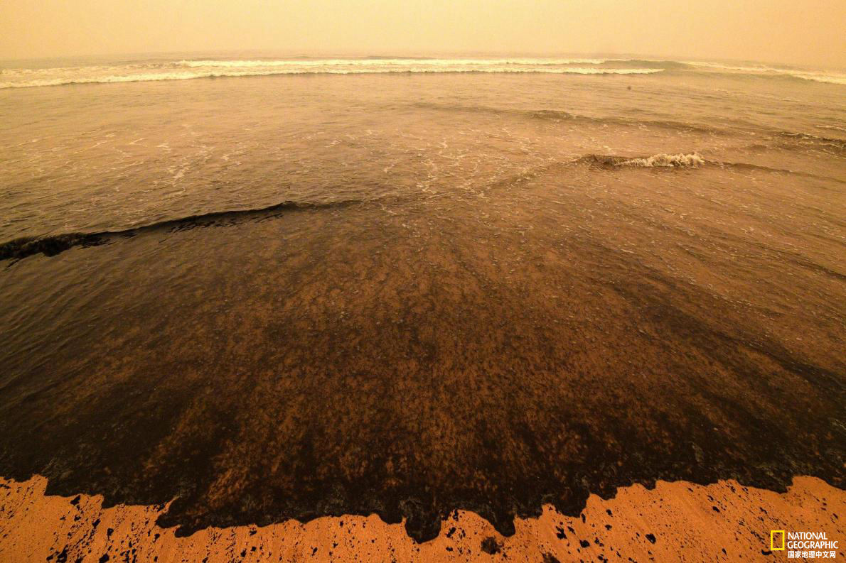 澳大利亚大火洪水,澳大利亚大火蔓延到哪里