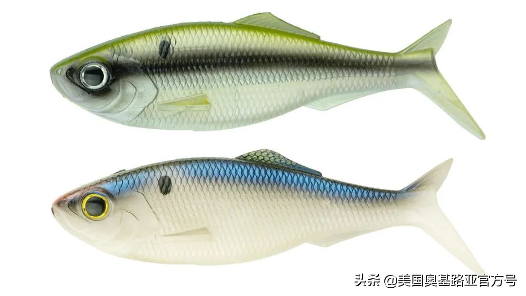 2024全国渔具展会一览表最新,2022年全国渔具展在哪