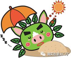 理涛，NZND为什么可以成为宇宙级男团？