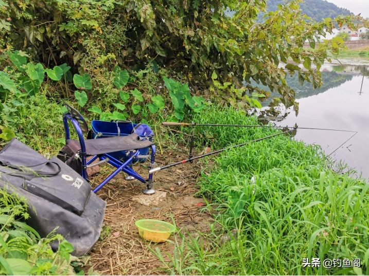 钓鱼内行都不敢说的内幕,钓鱼保底的套路和技巧有哪些