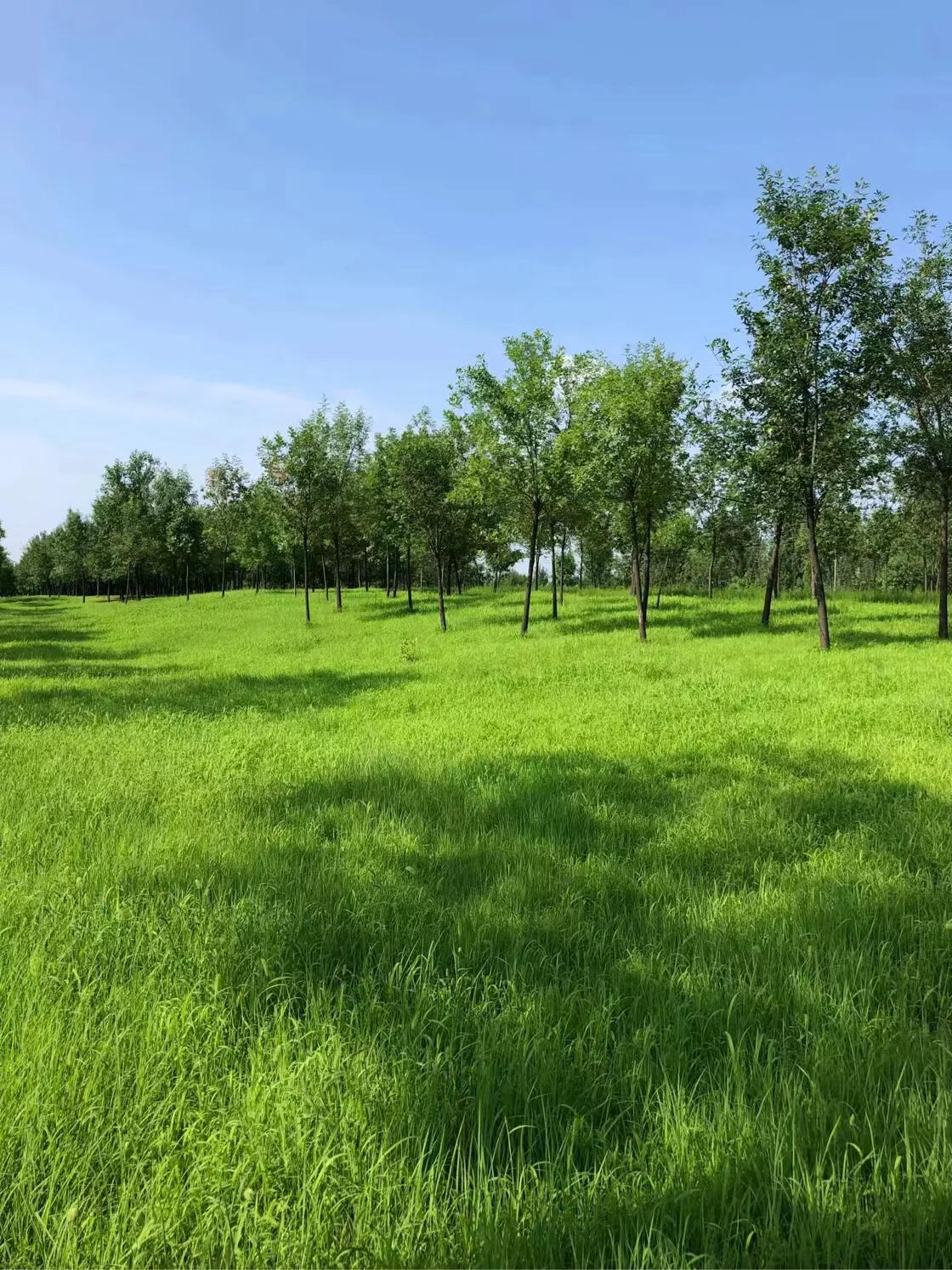 （原创）遵化醉美健身休闲地——沙河