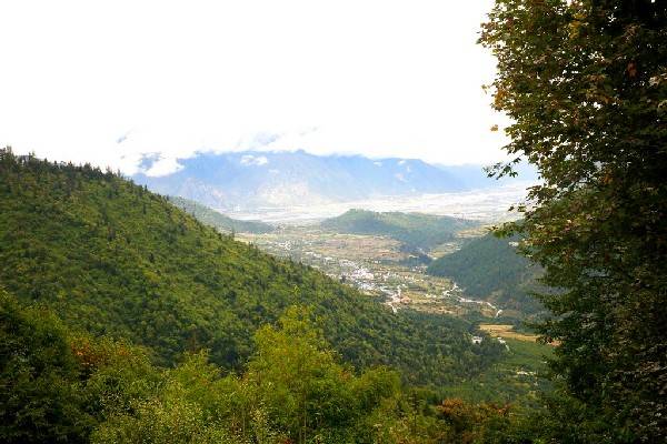 林芝属于藏南地区吗,西藏林芝为什么被称为西藏江南