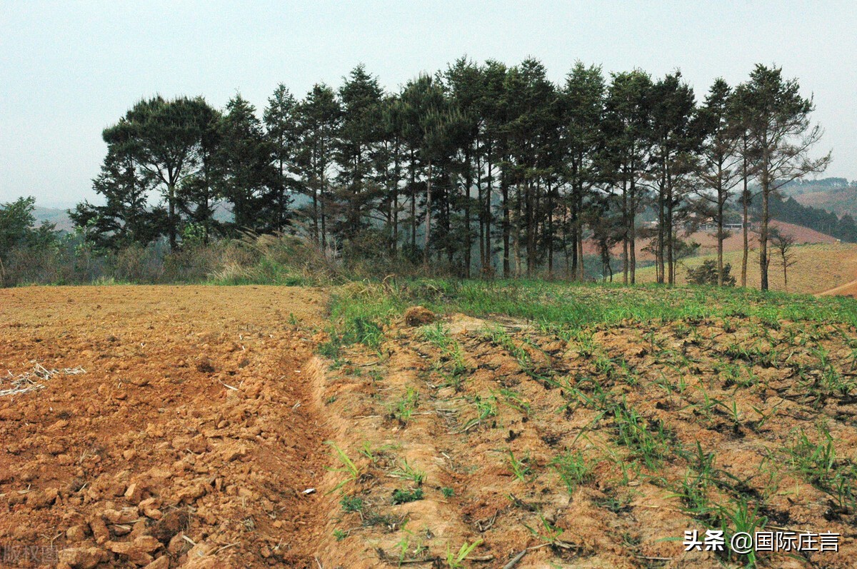 石家庄火车是什么样子的,火车怎么创造的