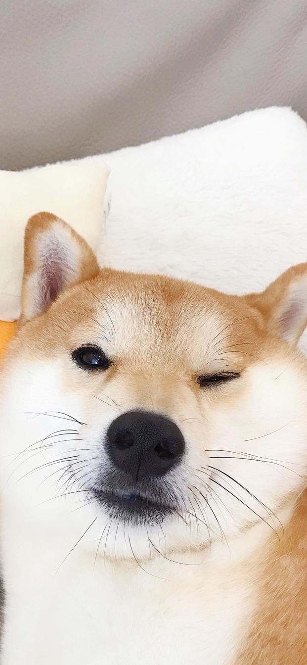 初中九年级外研版英语所有短语,外研社版初中英语九年级重点句型