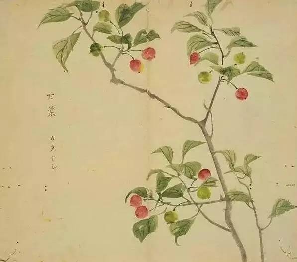 五千年来最美的20首诗,100首美到窒息的诗句