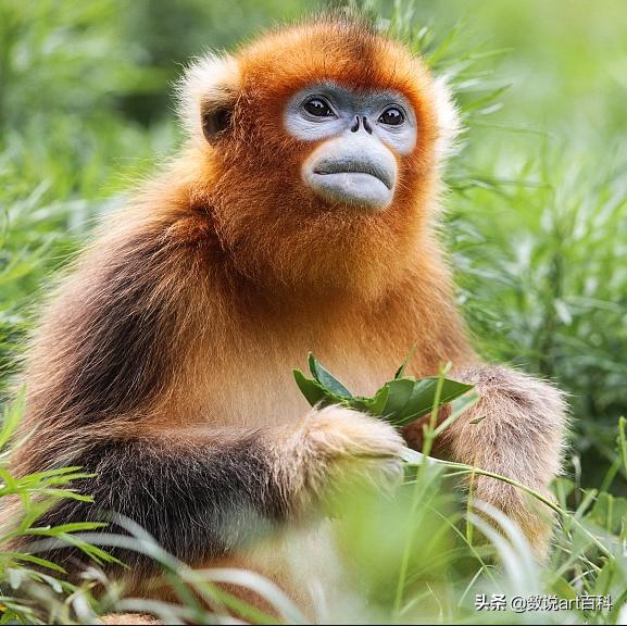 阳春三月呼和浩特时更跨界融合艺术酒店_春暖花开_扫榻以待