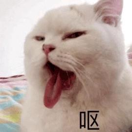 救命啊!为什么猫jiojio这么臭?