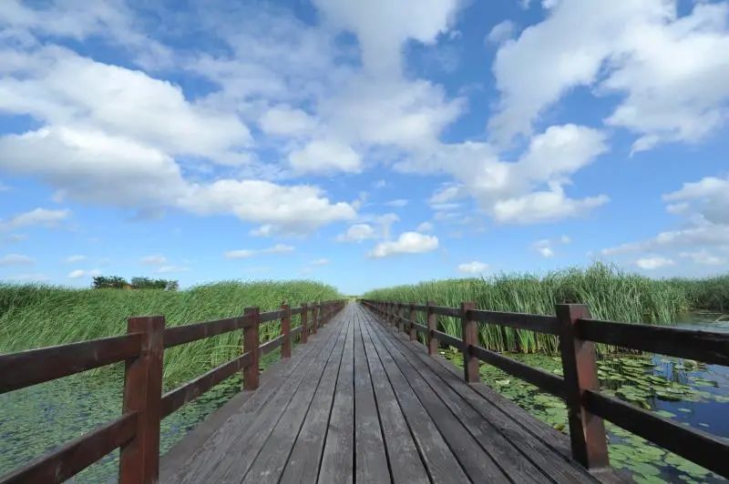 浙江四大新区之港——前湾新区,现实版兑现临湾点