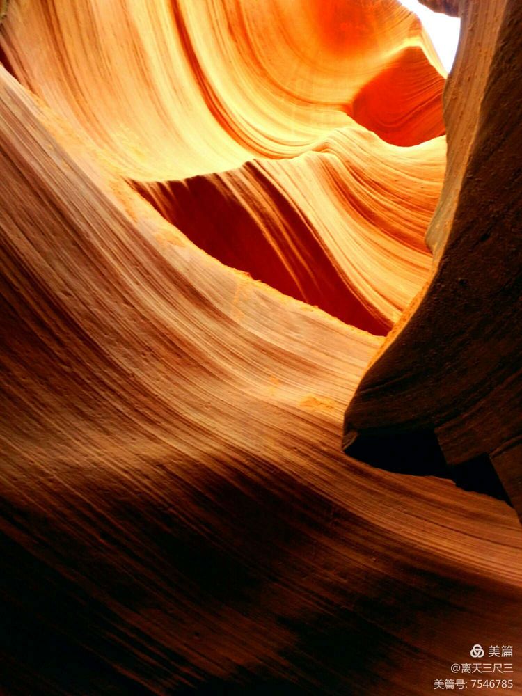 鍖楃編鏋儏闃虫柊,鍖楃編鏋儏鍥剧墖