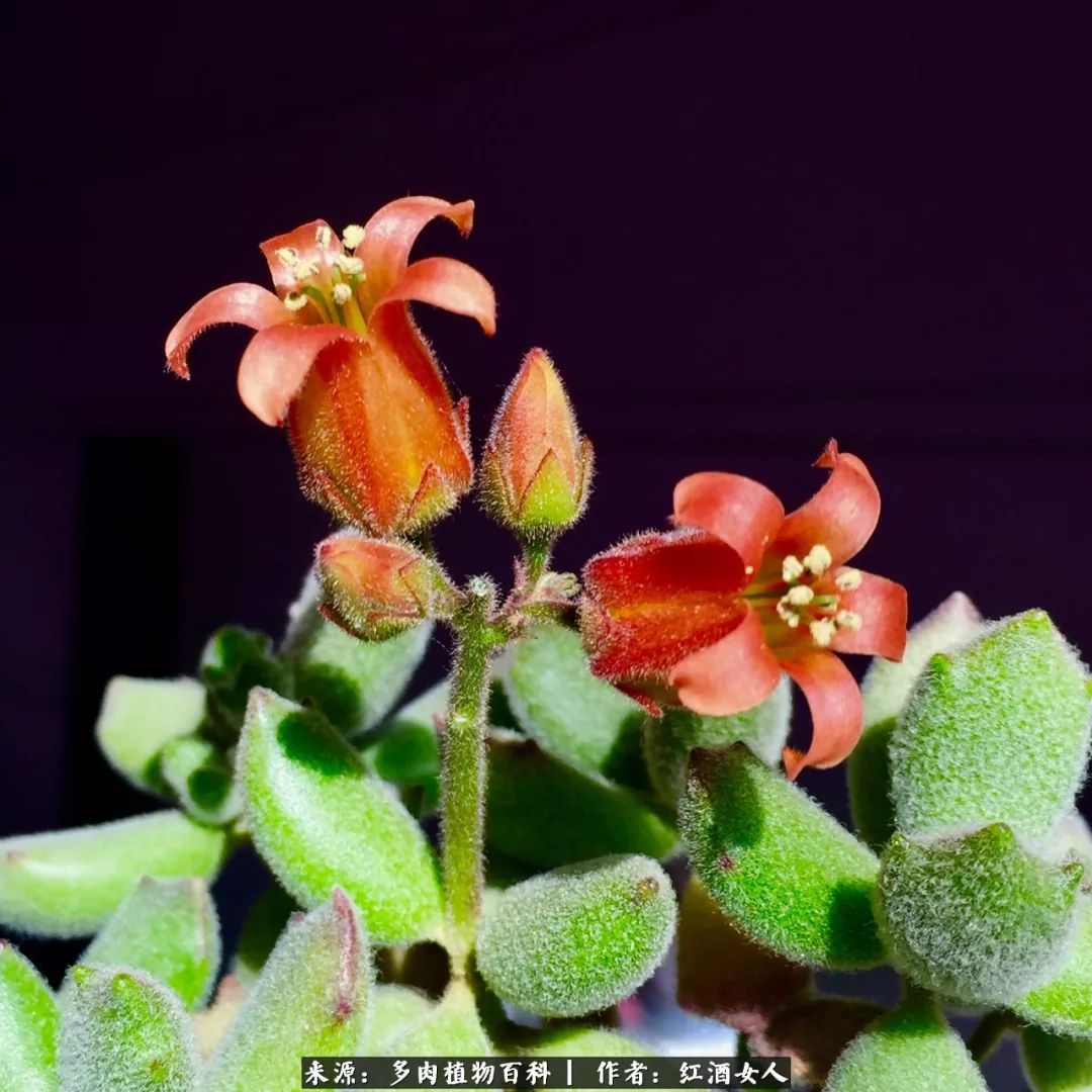 记录走过的美景留下美好的回忆,记录走过的每一段美好时光