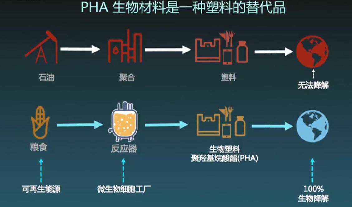 生物可降解塑料前景,生物可降解塑料是什么原料