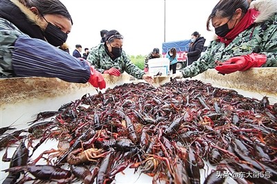 武汉解封:开窗放入大江来