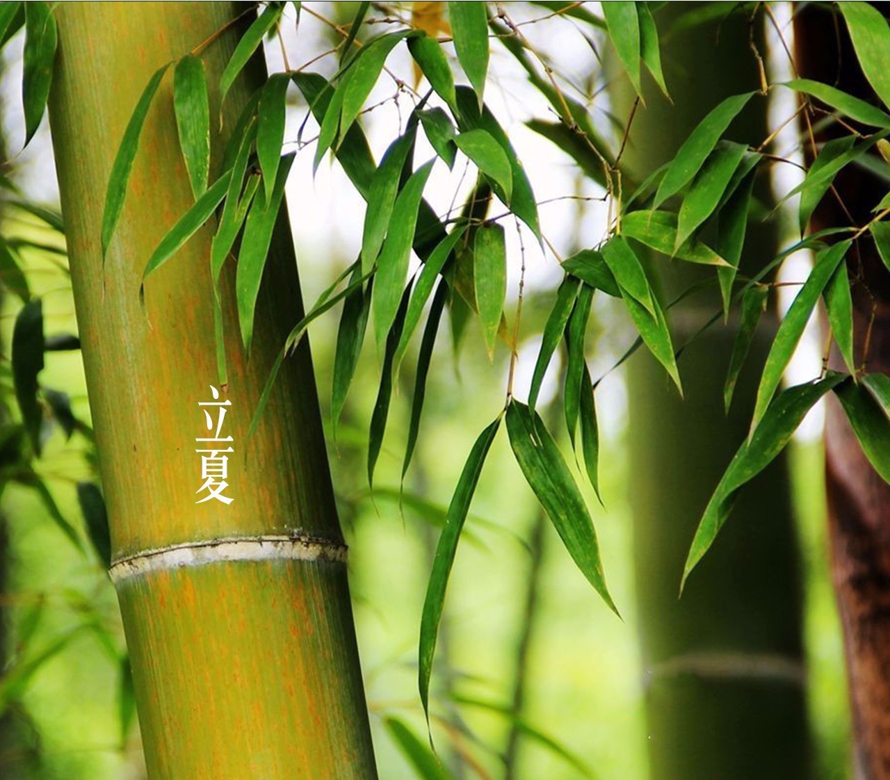 中国的传统节日全是黄道吉日,在古代特别讲究黄道吉日