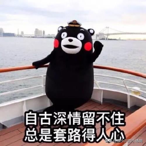 执业药师培训机构排名,执业药师培训机构今年好干吗