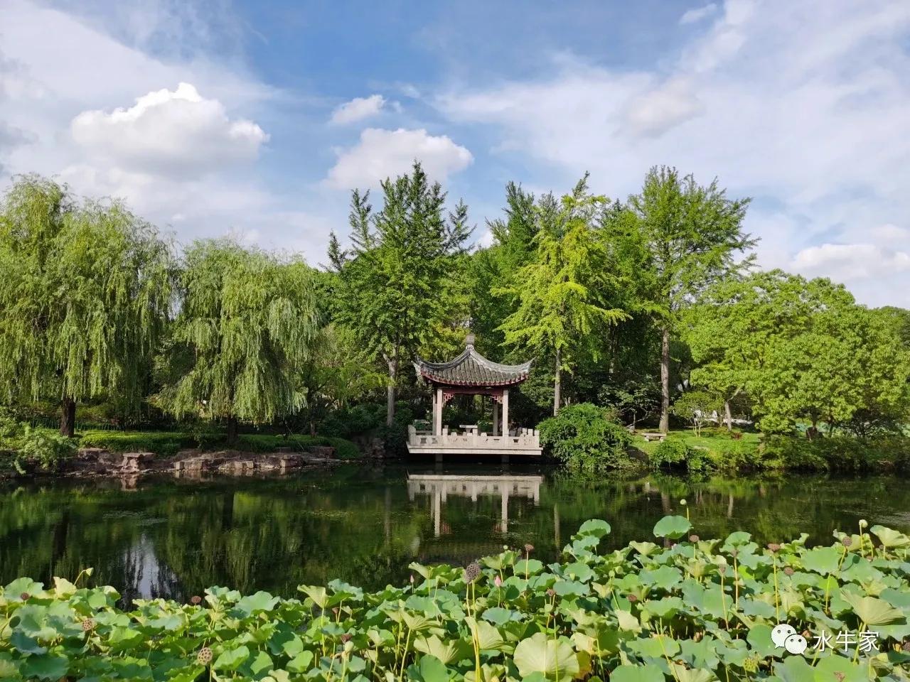 苏州园林南园,苏州四季园林攻略