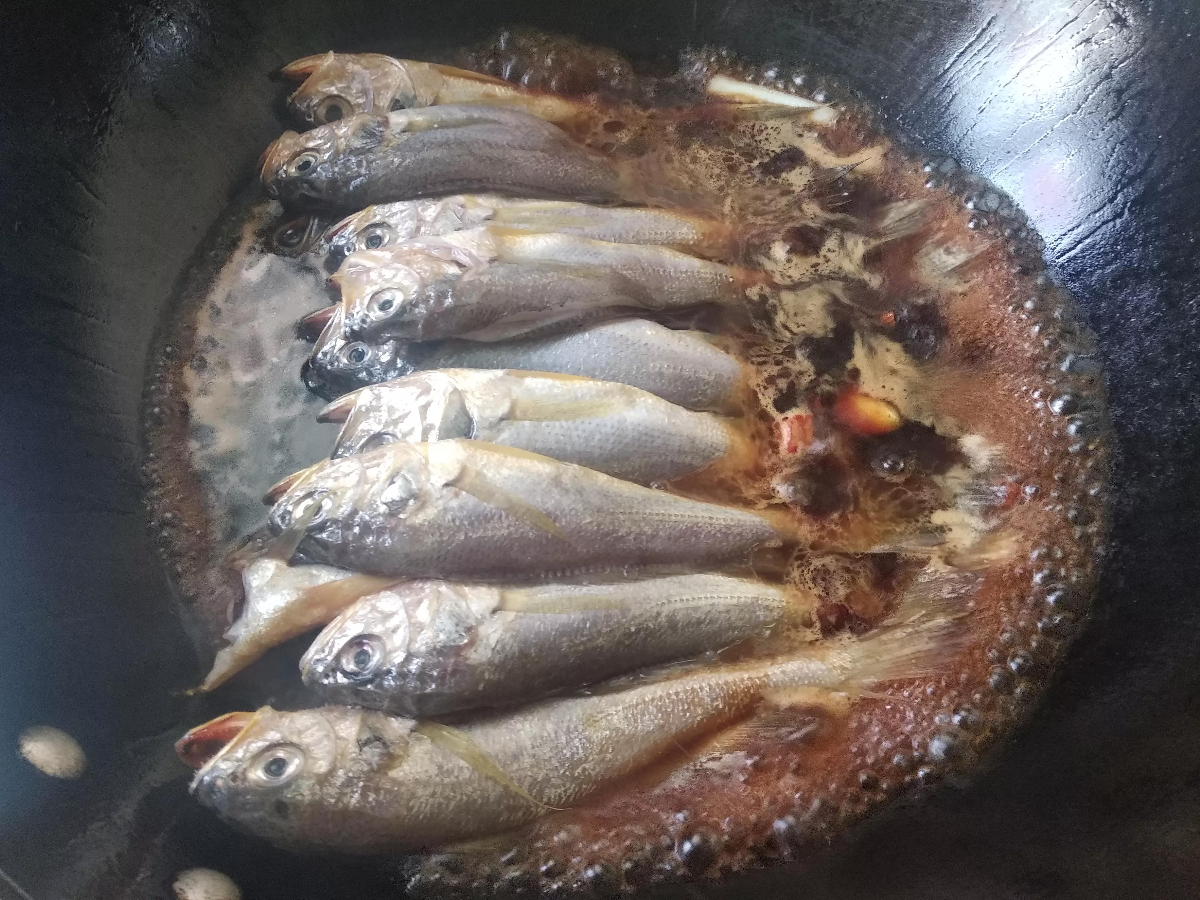 开海了吃什么美食,海边人常吃的40种海鱼