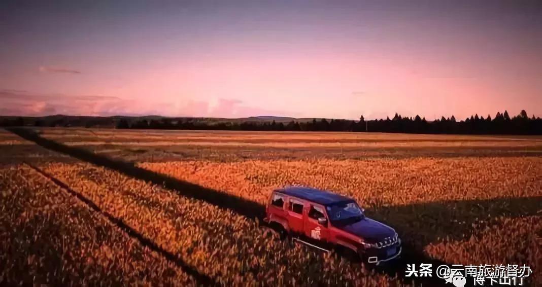 昆明合法的网约车平台,2019年昆明网约车准入车型明细