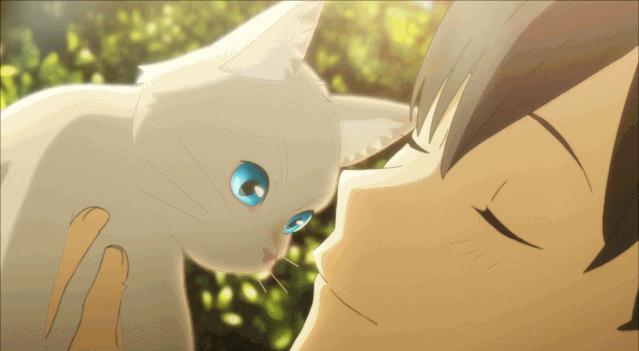 这部温情的撸猫片,让我哭得溃不成军,这是全世界猫*党**的胜利