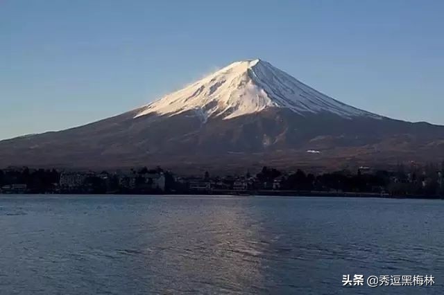 山海经中的扶桑与青铜神树,山海经扶桑树是史前文明