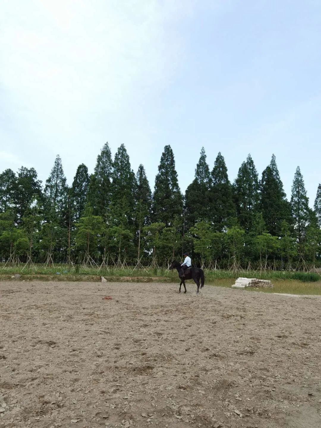 未来的杭州西湖,浙江杭州新西湖