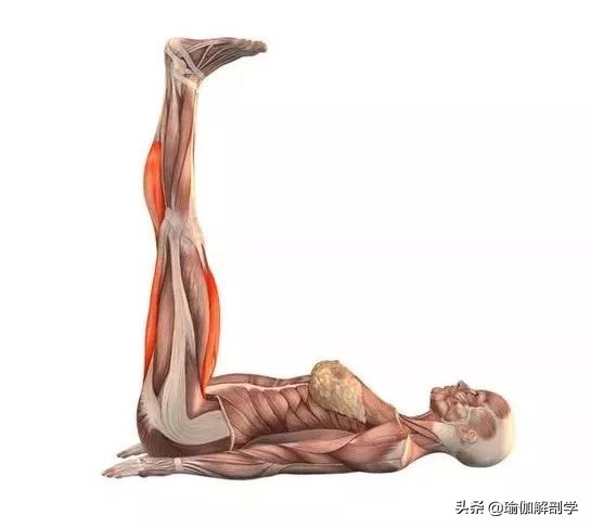 拉伸髂腰肌的瑜伽体式,久坐的人如何拉伸髂腰肌